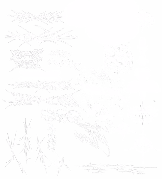 Archive piece