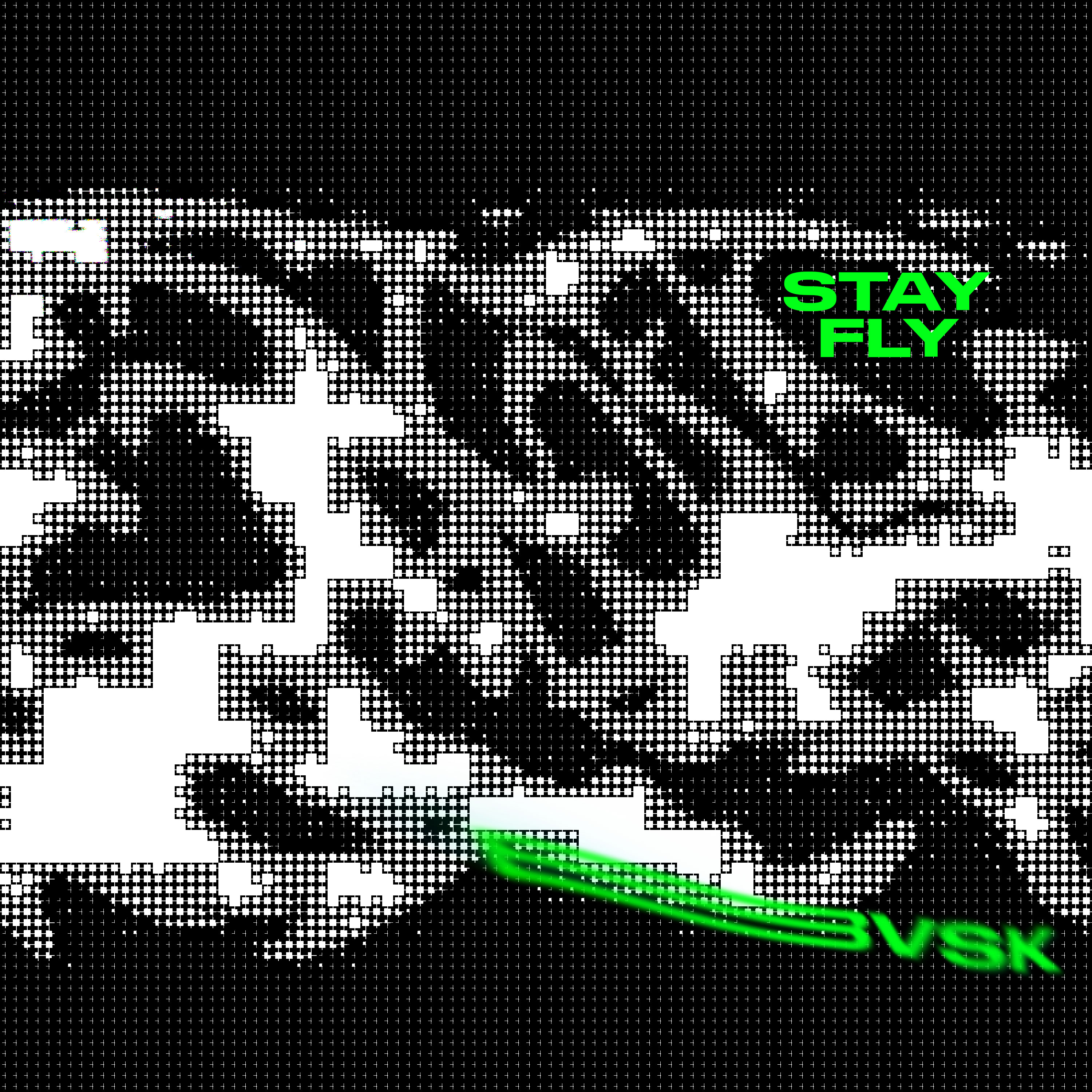 BVSK 12